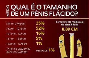 media do penis brasileiro-4